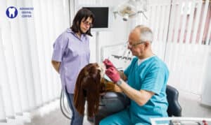 Caring for Your Teeth and Gums at Home